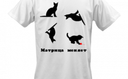 Matrix Transpose